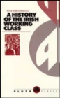 A History of the Irish Working Class : (With a New Preface) - Book