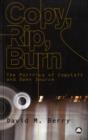 Copy, Rip, Burn : The Politics of Copyleft and Open Source - Book