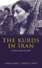 The Kurds in Iran : The Past, Present and Future - Book