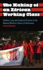 The Making of an African Working Class : Politics, Law, and Cultural Protest in the Manual Workers' Union of Botswana - Book