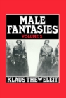 Male Fantasies, Volume 2 : Psychoanalyzing the White Terror - Book