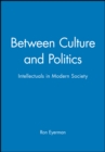 Between Culture and Politics : Intellectuals in Modern Society - Book