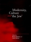 Modernity, Culture and 'The Jew' - Book