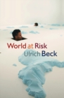 World at Risk - eBook