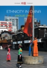 Ethnicity in China: A Critical Introduction - eBook