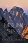 In The Shadow of Mount Sinai - eBook