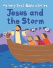 Jesus and the Storm - eBook