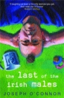 The Last of the Irish Males - Book