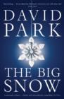 The Big Snow - Book