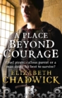 A Place Beyond Courage - eBook