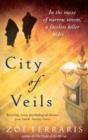 City Of Veils - eBook