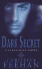 Dark Secret : Number 15 in series - eBook