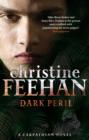 Dark Peril : Number 21 in series - eBook