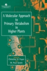 A Molecular Approach To Primary Metabolism In Higher Plants - Book