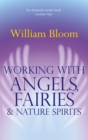 Working With Angels, Fairies And Nature Spirits - Book