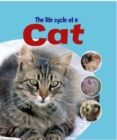 Learning About Life Cycles: The Life Cycle of A Cat - Book