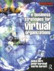 e-Business Strategies for Virtual Organizations - Book