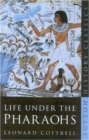 Life Under the Pharoahs - Book