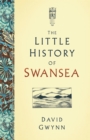 The Little History of Swansea - eBook