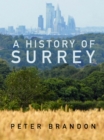 A History of Surrey - eBook