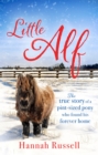 Little Alf : The true story of a pint-sized pony who found his forever home - eBook