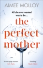 The Perfect Mother : A gripping thriller with a nail-biting twist - eBook