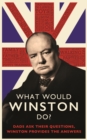What Would Winston Do?: Dads ask their questions, Winston provides the answers : THE PERFECT GIFT FOR DADS THIS CHRISTMAS - eBook