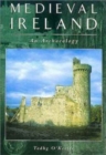 Medieval Ireland : An Archaeology - Book
