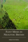 Neolithic Flint Mines in Britain - Book