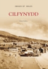 Cilfynydd - Book