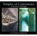 Temples of Convenience and Chambers of Delight - Book
