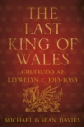 The Last King of Wales : Gruffudd ap Llywelyn c. 1013-1063 - Book