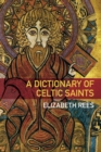 A Dictionary of Celtic Saints - eBook
