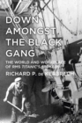Down Amongst the Black Gang : The World and Workplace of RMS Titanic's Stokers - Book