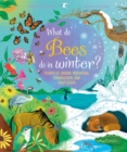 What Do Bees Do In Winter? : Stories of animal migration, hibernation and adaptation - Book