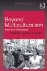 Beyond Multiculturalism : Views from Anthropology - Book