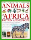 Illustrated Encyclopedia of Animals of Africa, Britain and Europe - Book