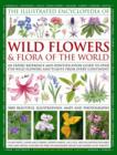 Illustrated Encyclopedia of Wild Flowers & Flora of the World - Book