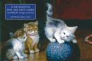 Card Box of 20 Notecards and Envelopes: Kittens and Cats - Book