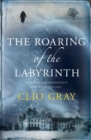 The Roaring of the Labyrinth - Book