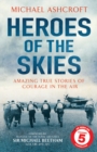 Heroes of the Skies - eBook