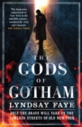 The Gods of Gotham - Book