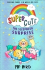 The Sleepover Surprise - eBook