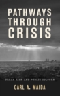 Pathways through Crisis : Urban Risk and Public Culture - eBook