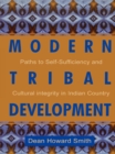 Modern Tribal Development : Paths to Self-Sufficiency and Cultural Integrity in Indian Country - eBook