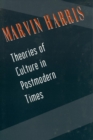 Theories of Culture in Postmodern Times - eBook