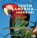 South America, Surprise! - eBook