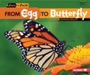 From Egg to Butterfly - eBook