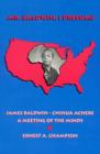 Mr. Baldwin, I Presume : James Baldwin - Chinua Achebe: A Meeting of the Minds - Book