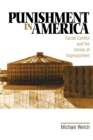 Punishment in America : Social Control and the Ironies of Imprisonment - Book
